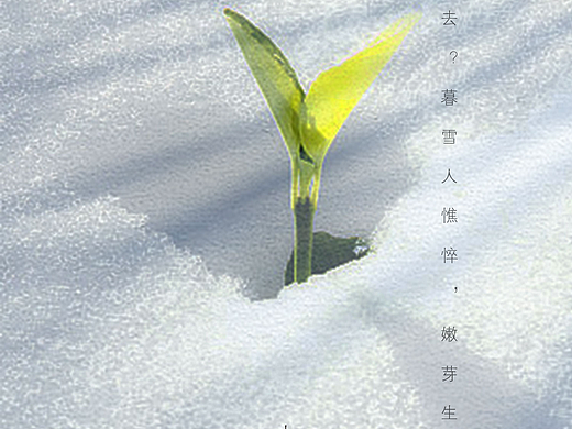 浣花溪