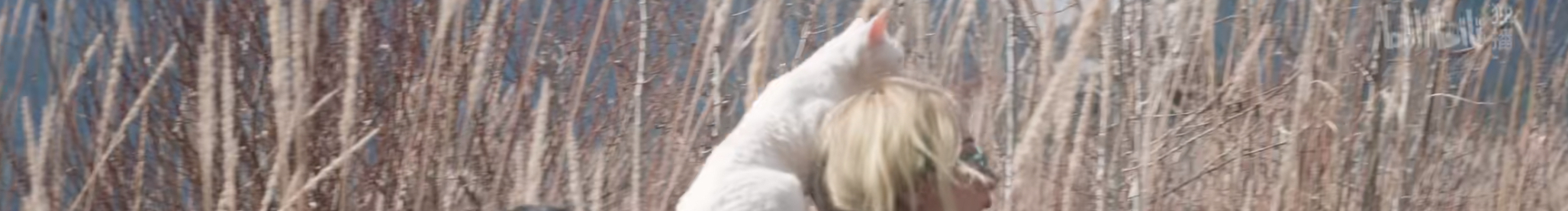 迷惑的稻谷的個(gè)人主頁（封面預(yù)覽） - 主頁封面設(shè)置 - 站酷設(shè)計(jì)師迷惑的稻谷原創(chuàng)素材 - 站酷ZCOOL