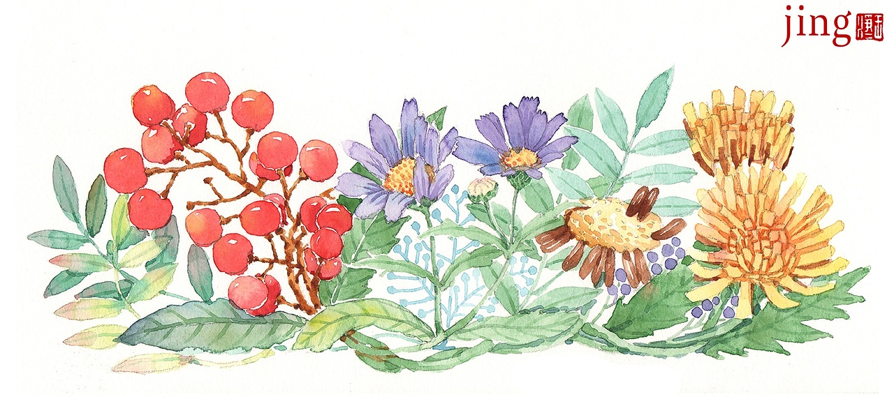水彩手绘 40幅花卉&风景插画