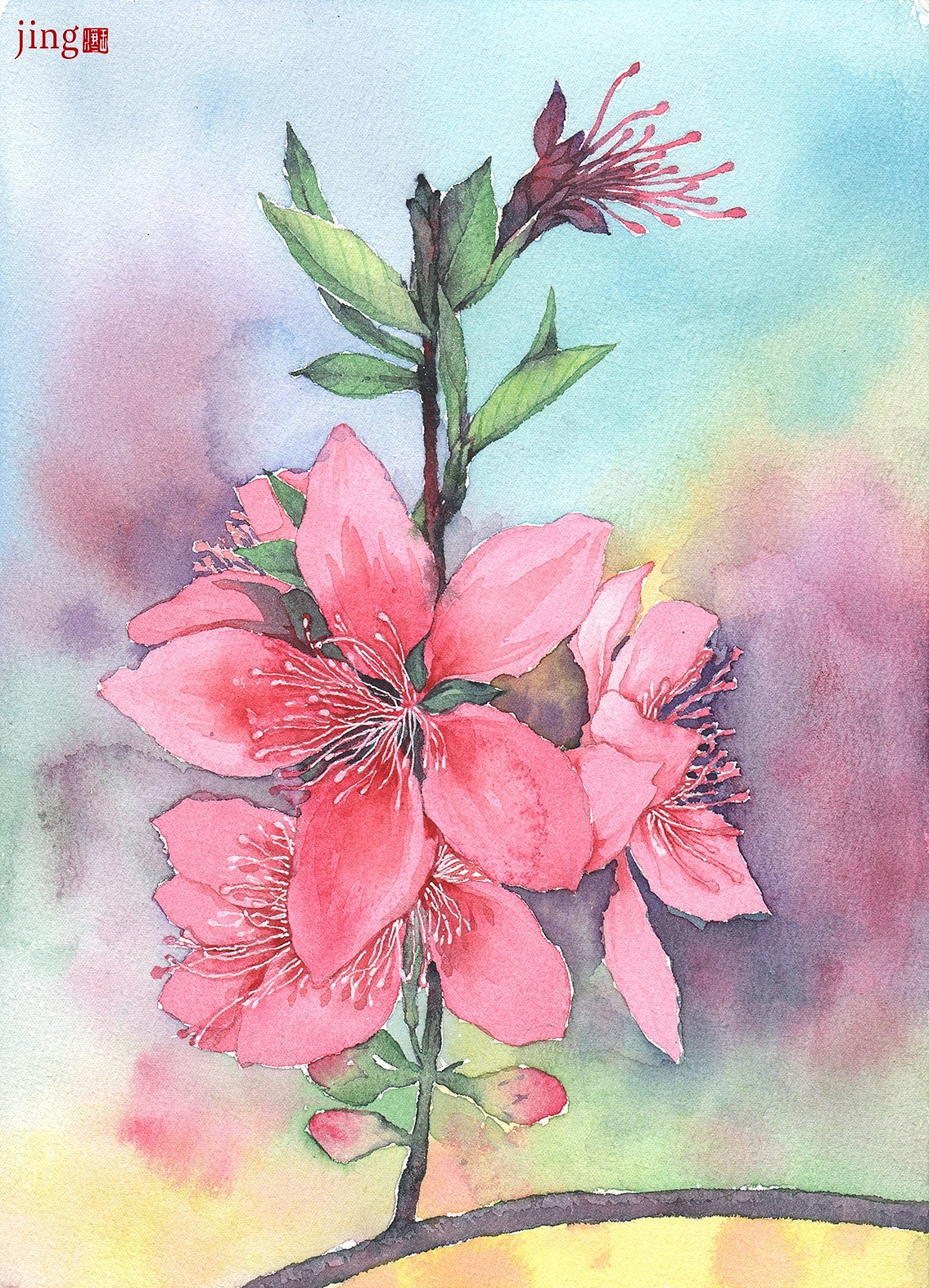 水彩手绘 40幅花卉&风景插画