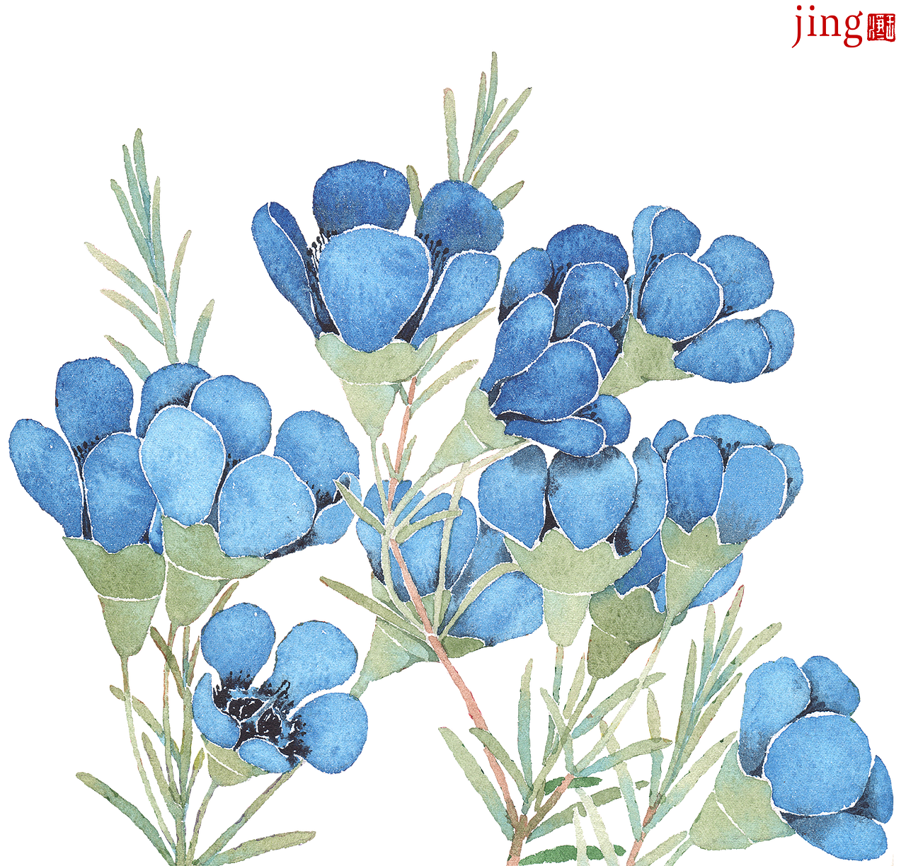 水彩手绘 40幅花卉&风景插画