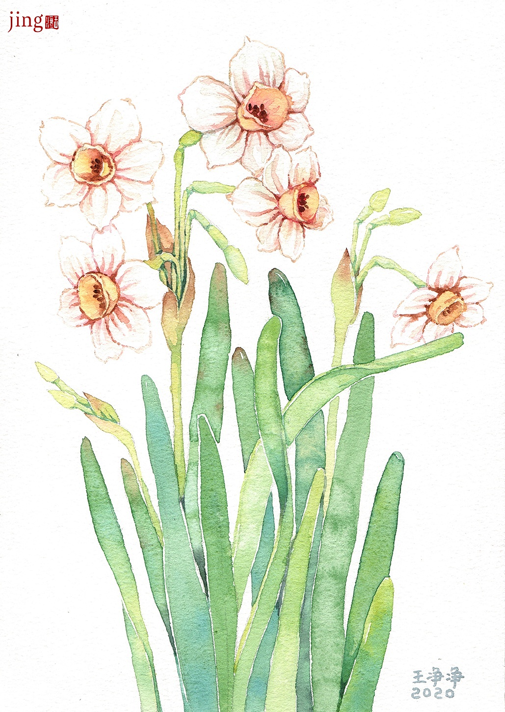 水彩手绘 40幅花卉&风景插画