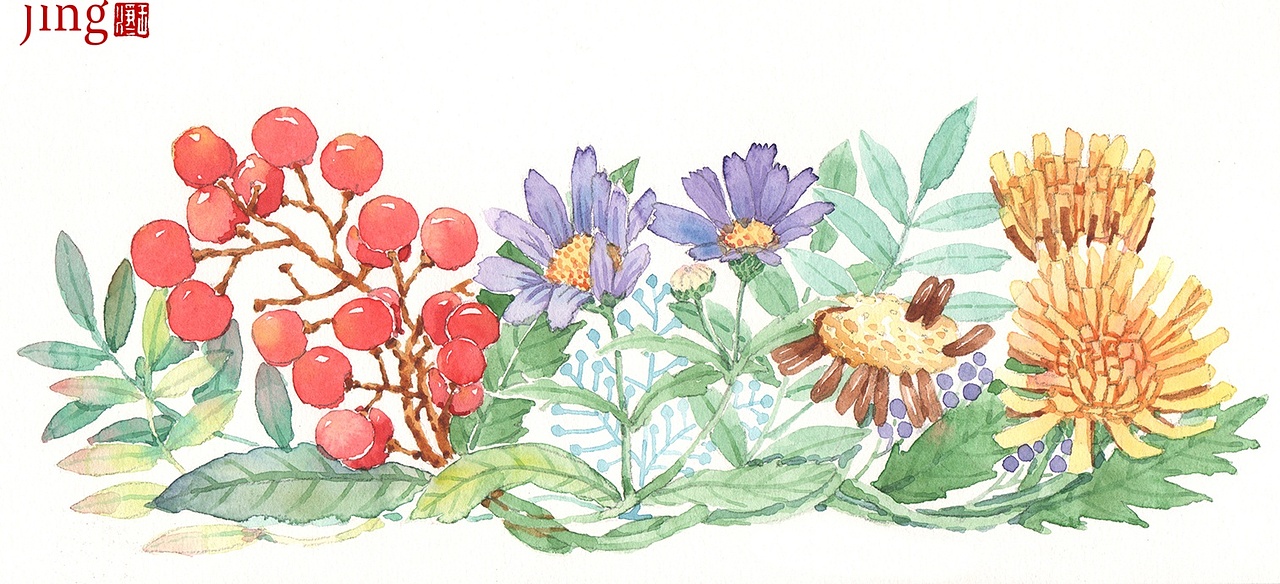 水彩手绘 40幅花卉&风景插画