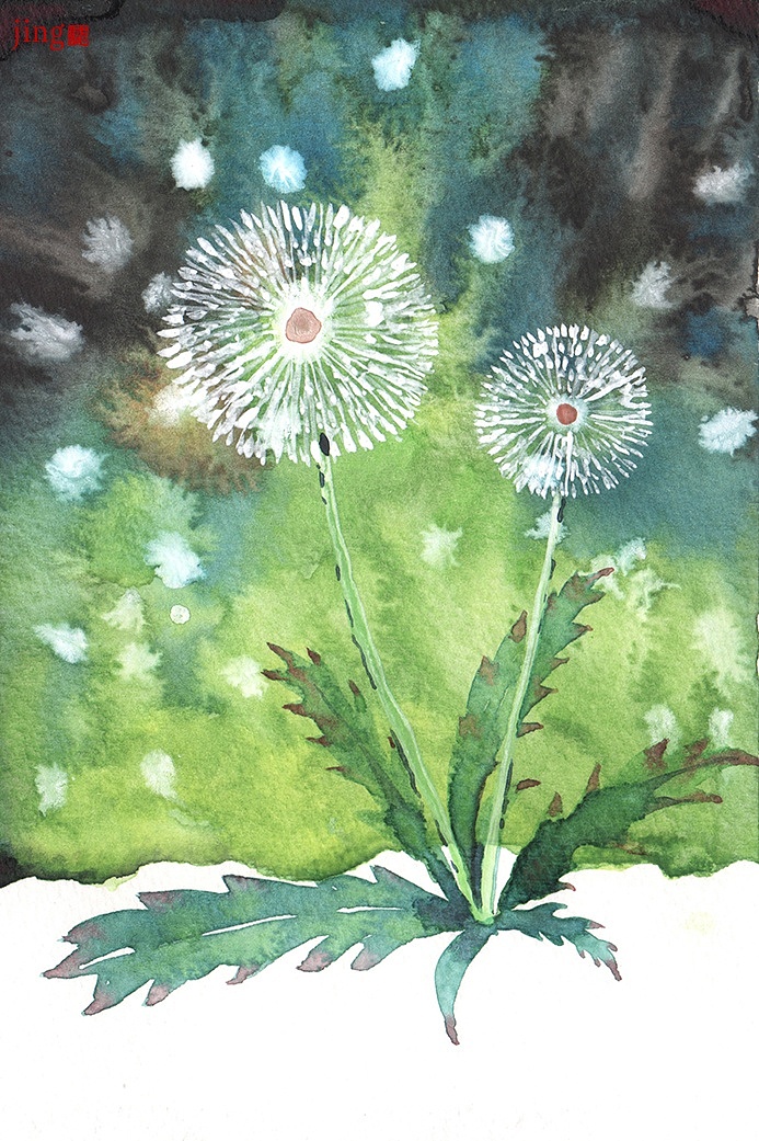 水彩手绘 40幅花卉&风景插画