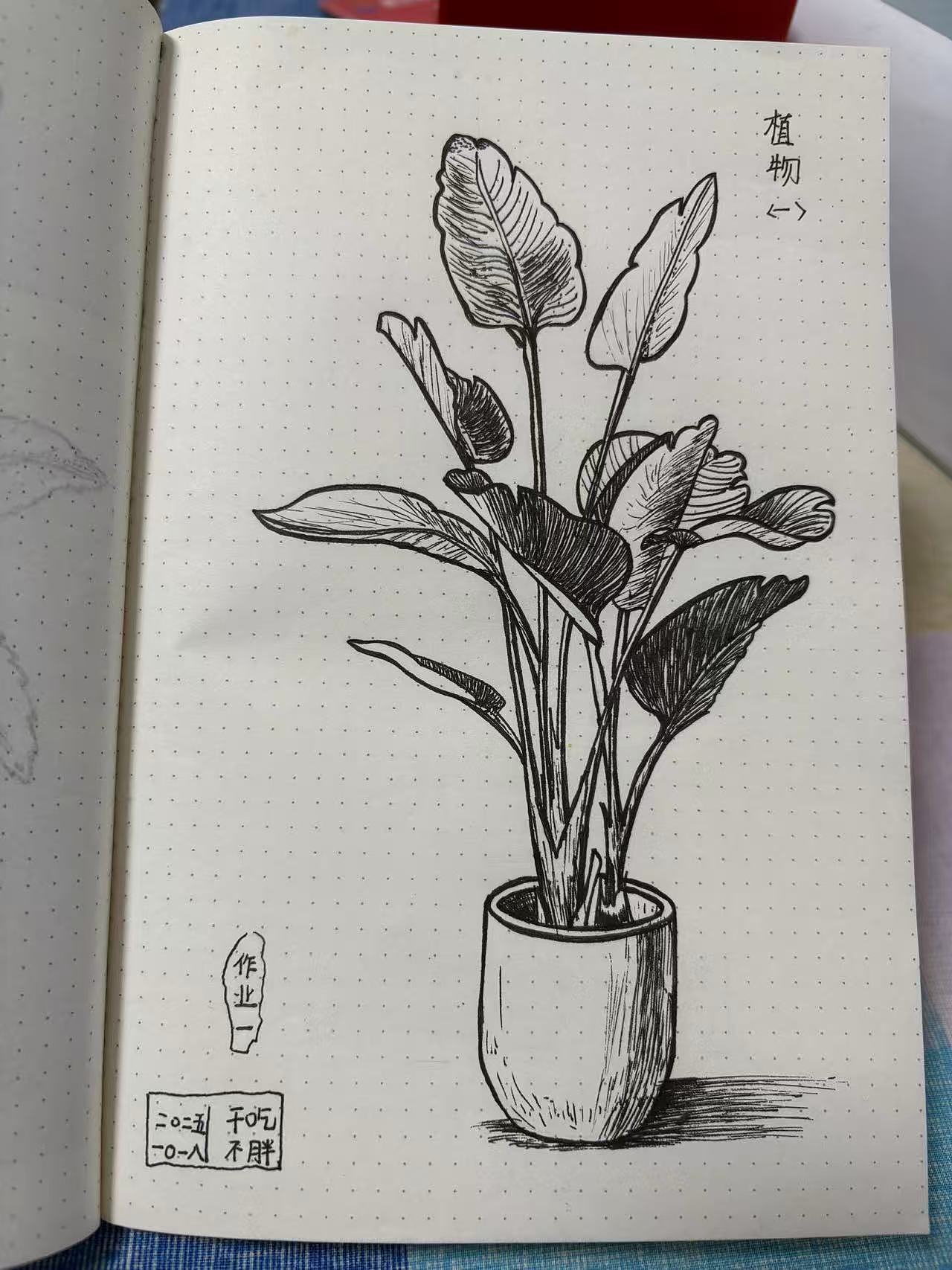 盆栽1（图ZMzk3ODc2ODc2） - 创作习作 - 站酷设计师干吃不胖是我原创素材 - 站酷ZCOOL