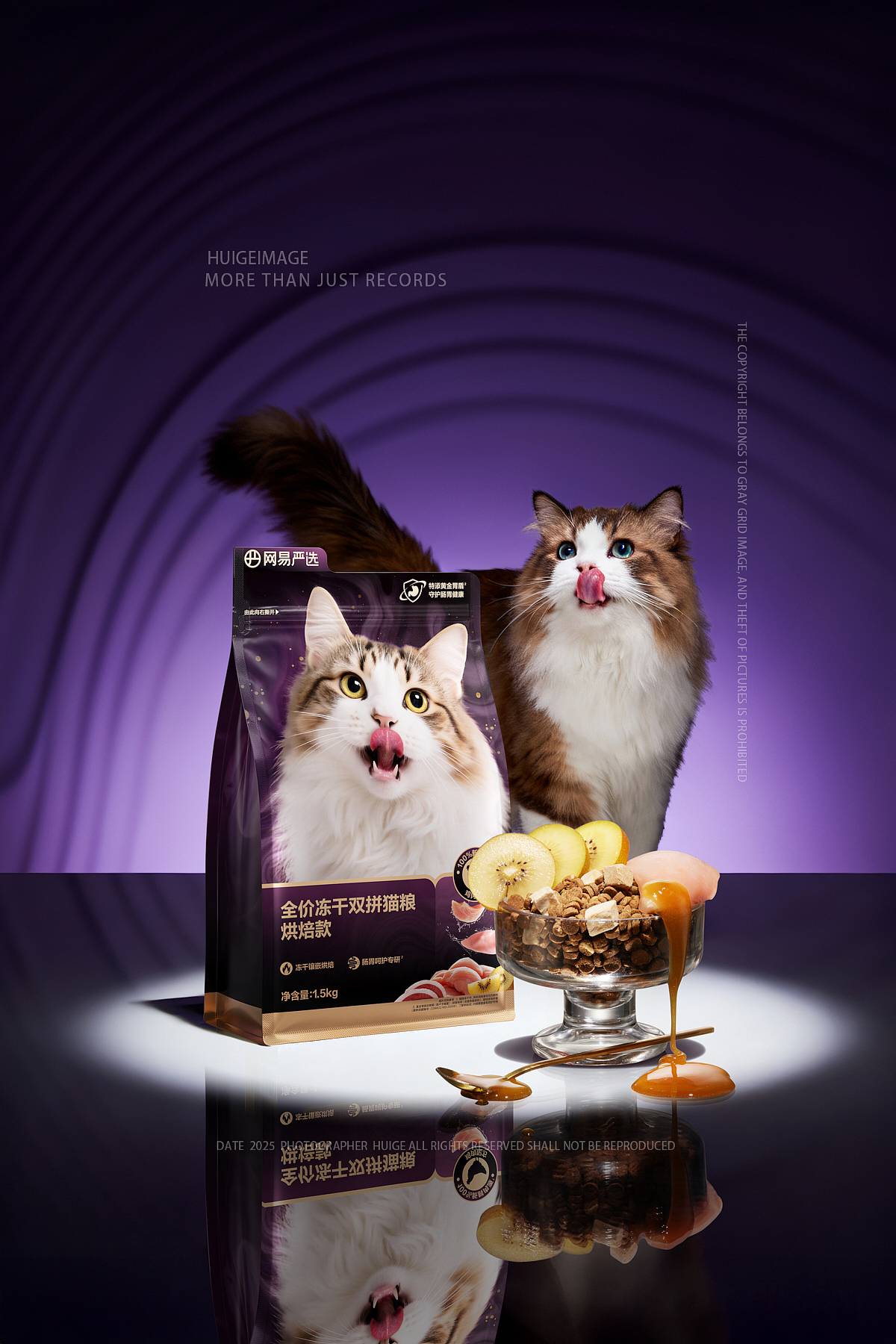 宠物类目AI商业平面应用&灰格影像