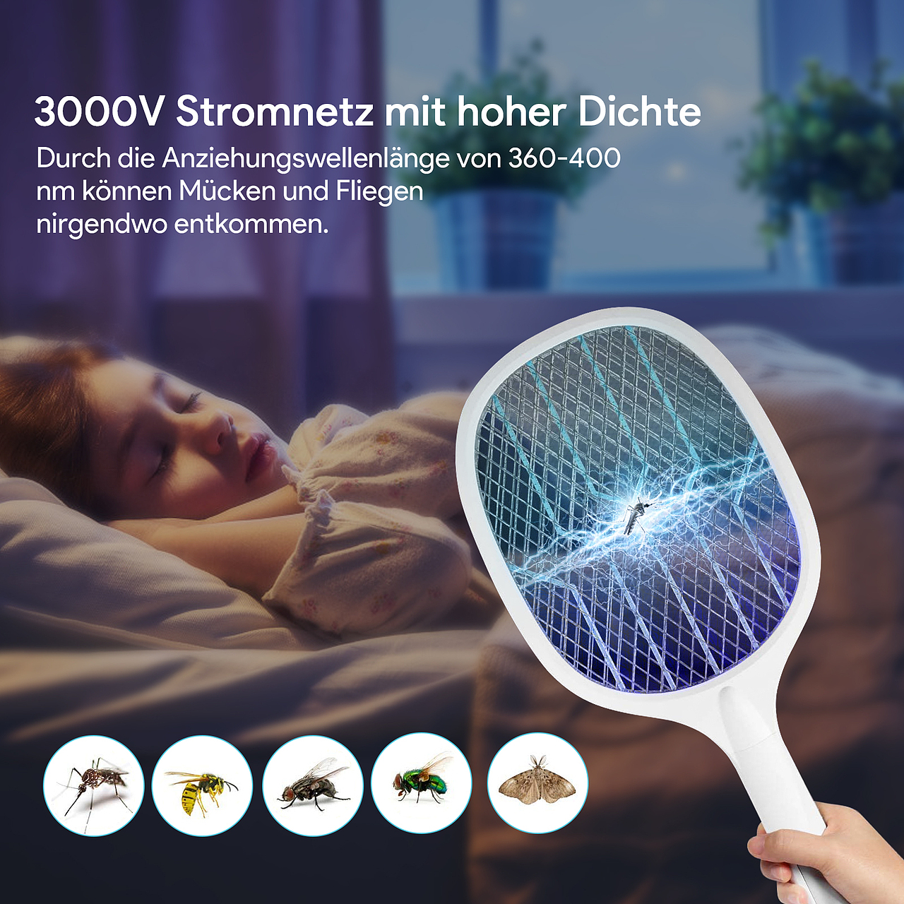 包装盒及零碎产品图