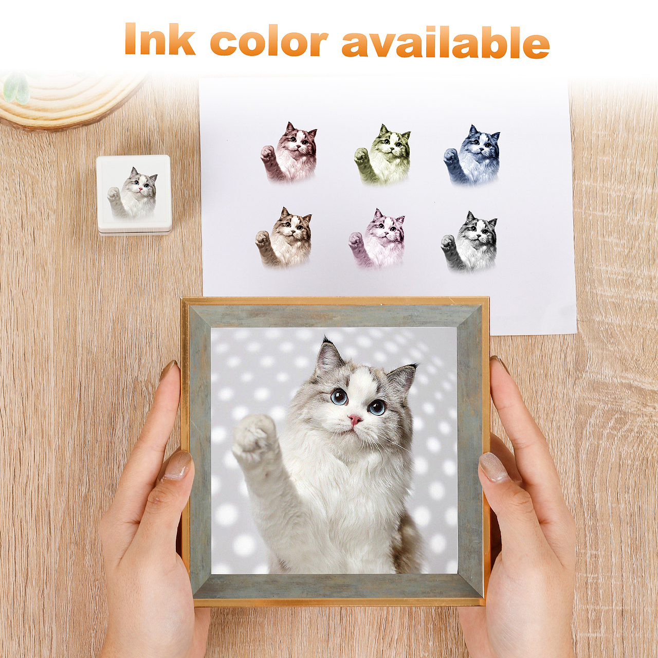 亚马逊宠物印章