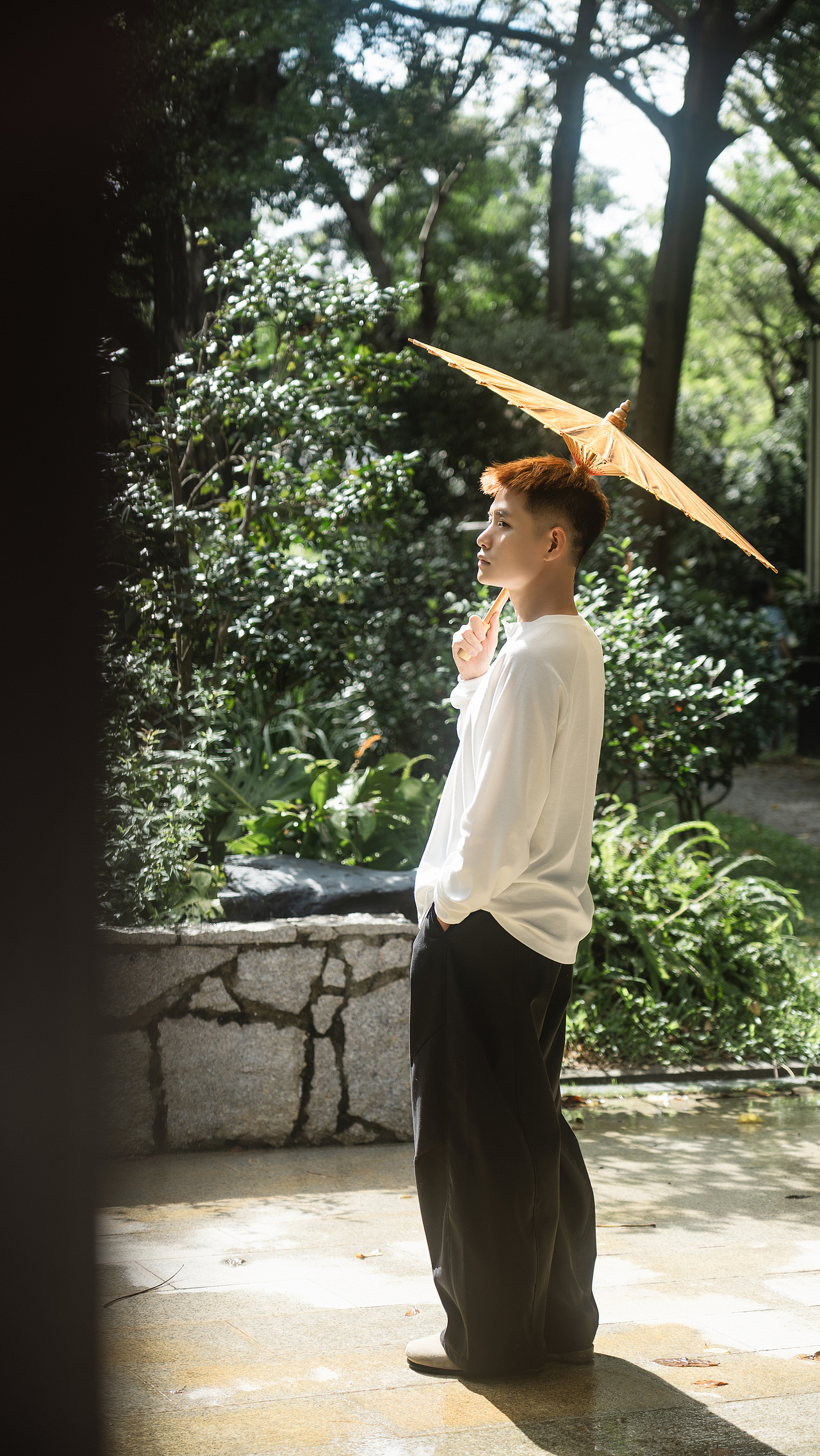 庭槐影碎被风揉