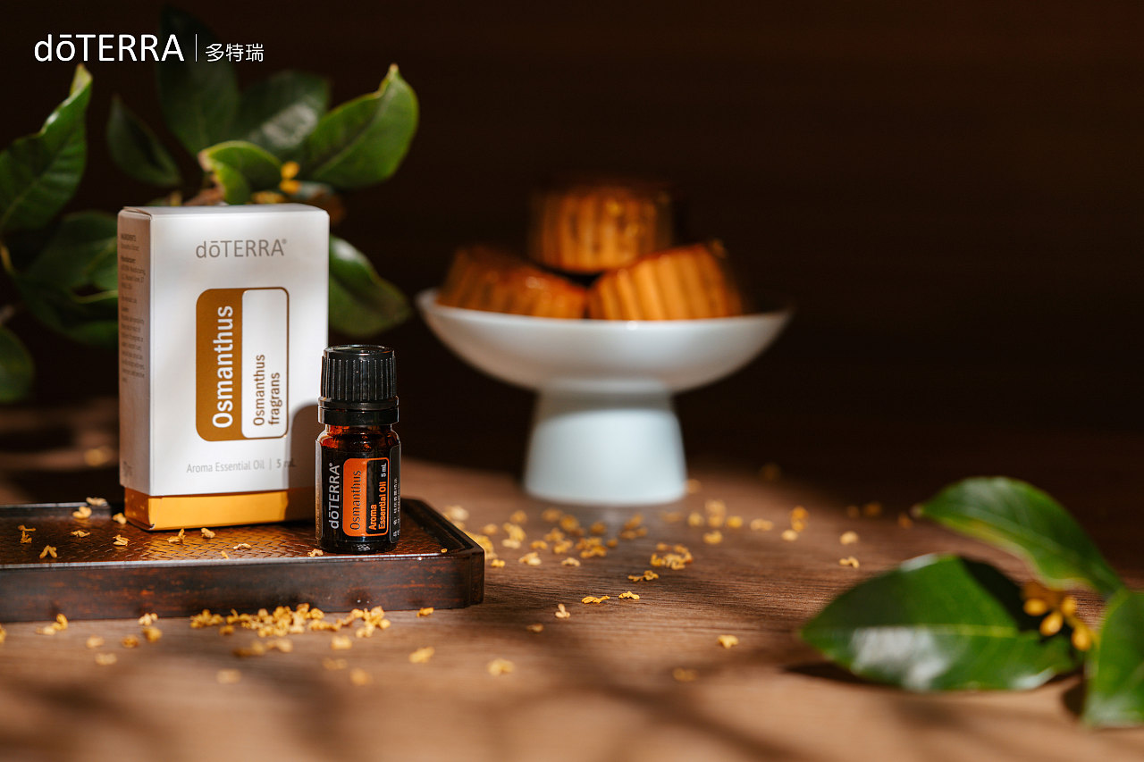 又是一年中秋节