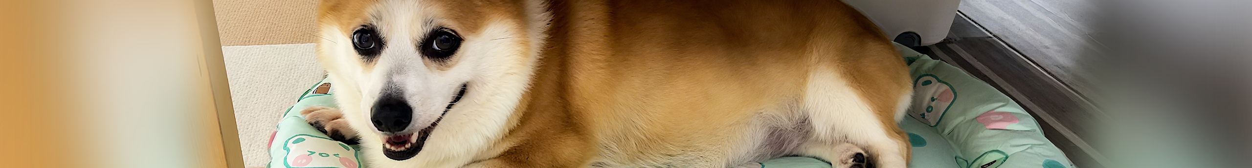 林子lalala的個(gè)人主頁(yè)（封面預(yù)覽） - 主頁(yè)封面設(shè)置 - 站酷設(shè)計(jì)師林子lalala原創(chuàng)素材 - 站酷ZCOOL