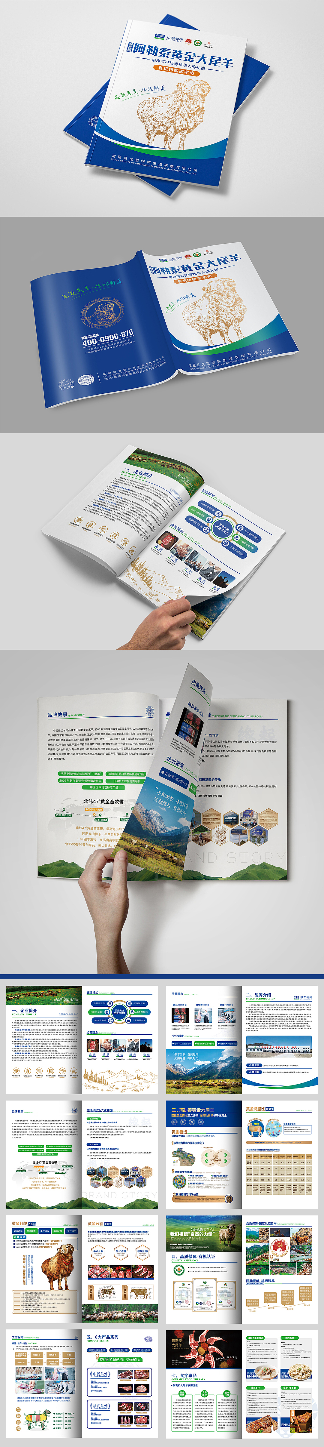 宣传手册-阿勒泰黄金大尾羊