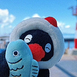 MMMikey的头像