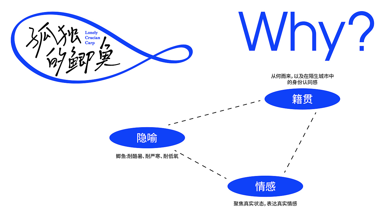 孤独的鲫鱼-视觉设计