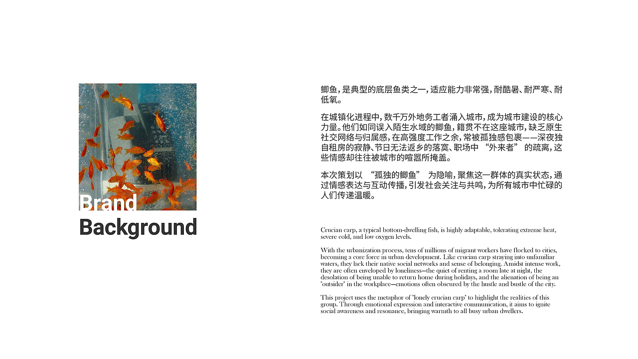 孤独的鲫鱼-视觉设计