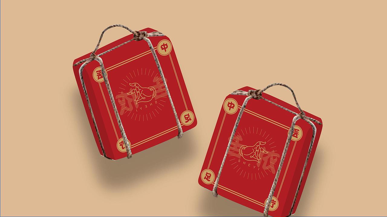 舌依足浴品牌视觉VI设计