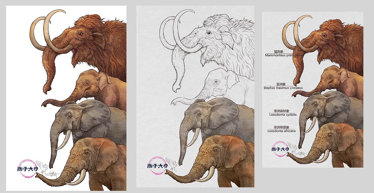 动物插画-物种科普绘本合集（二）（图ZMzk3OTUxNzc2） - 绘本 - 站酷设计师狮子大亨原创素材 - 站酷ZCOOL