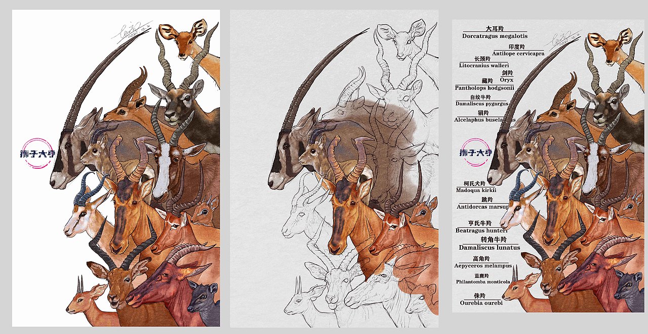 动物插画-物种科普绘本合集（二）（图ZMzk3OTUxNzk2） - 绘本 - 站酷设计师狮子大亨原创素材 - 站酷ZCOOL