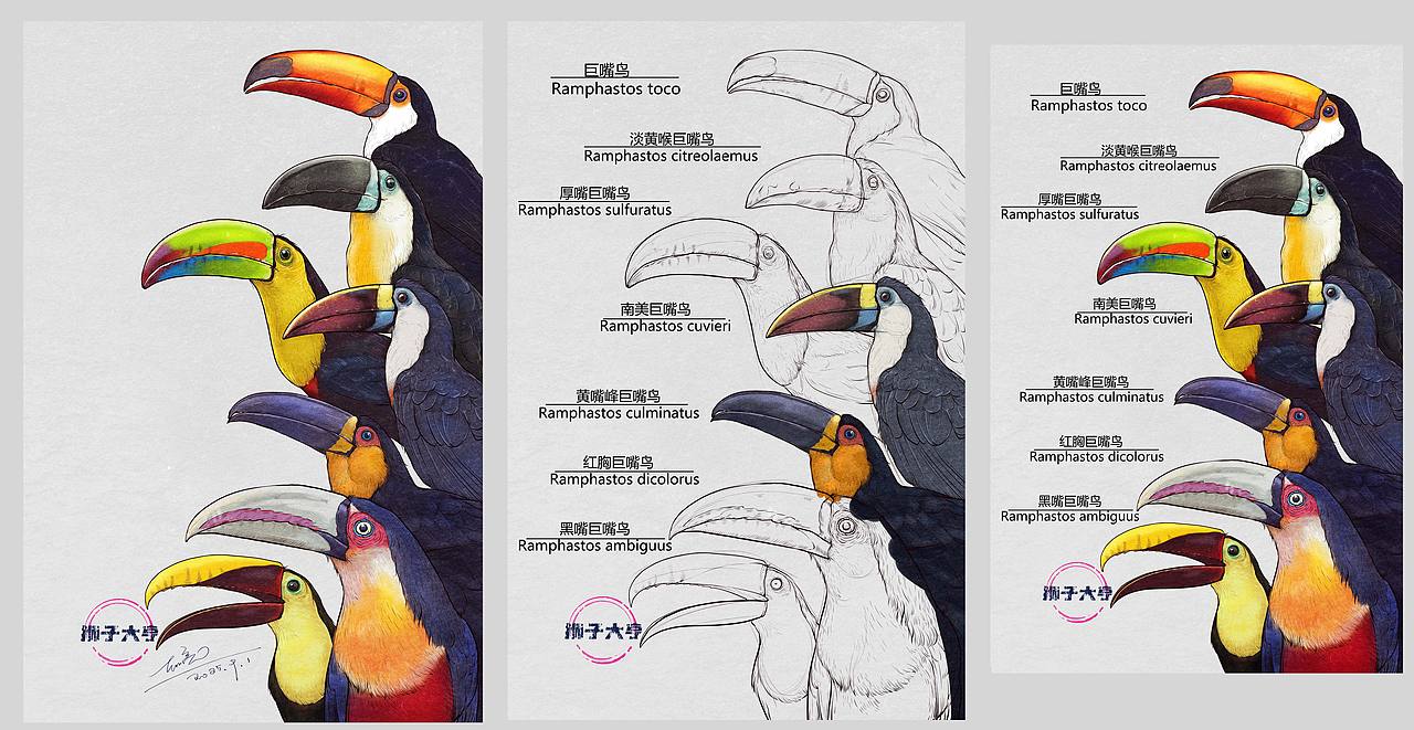动物插画-物种科普绘本合集（二）（图ZMzk3OTUxNzg4） - 绘本 - 站酷设计师狮子大亨原创素材 - 站酷ZCOOL
