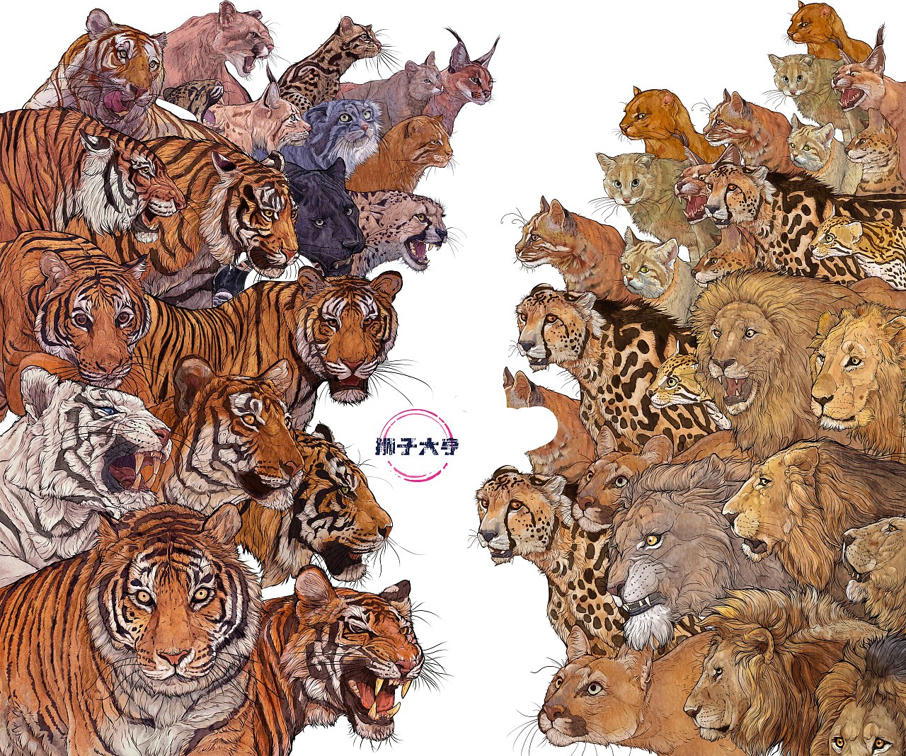 动物插画-物种科普绘本合集（二）（图ZMzk3OTUxODEy） - 绘本 - 站酷设计师狮子大亨原创素材 - 站酷ZCOOL