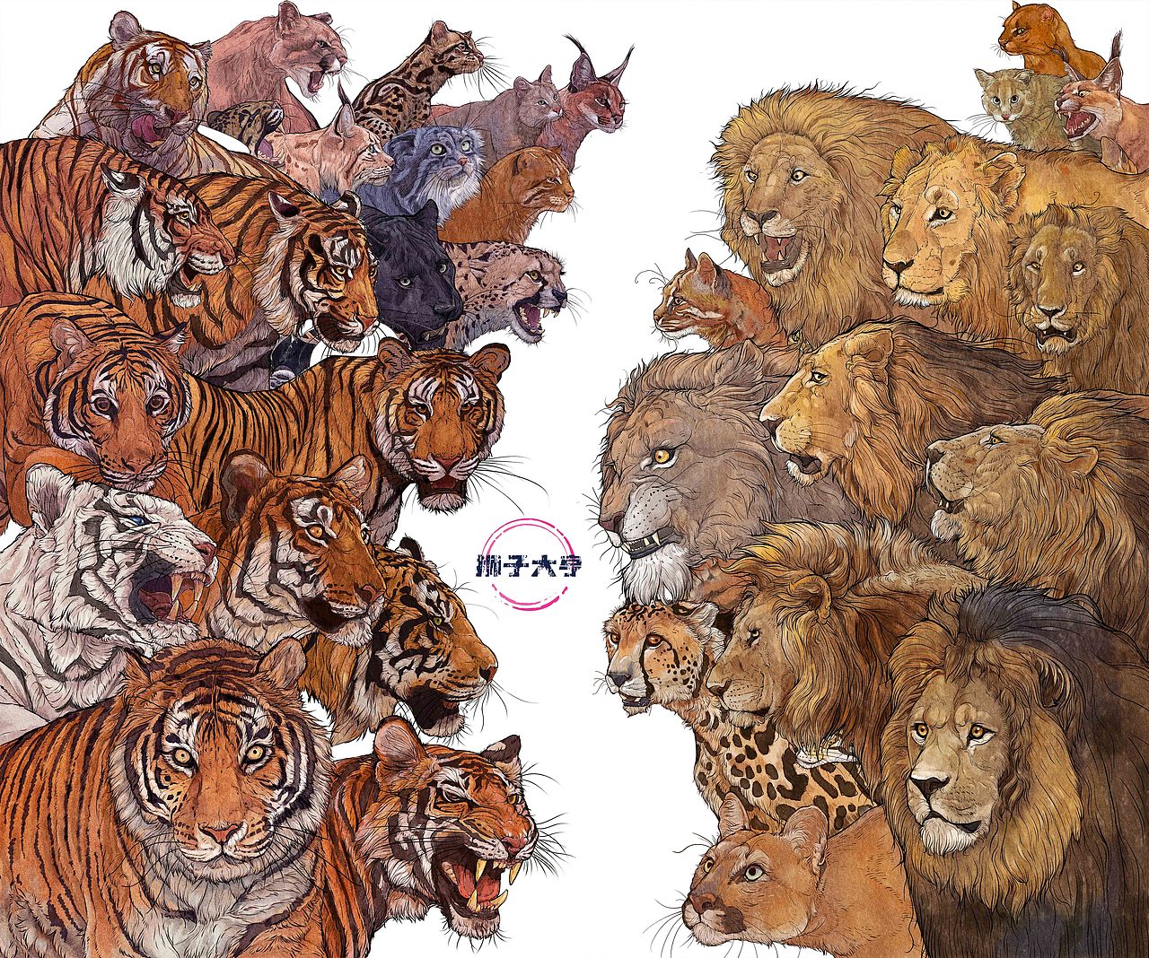 动物插画-物种科普绘本合集（二）（图ZMzk3OTUxODA0） - 绘本 - 站酷设计师狮子大亨原创素材 - 站酷ZCOOL