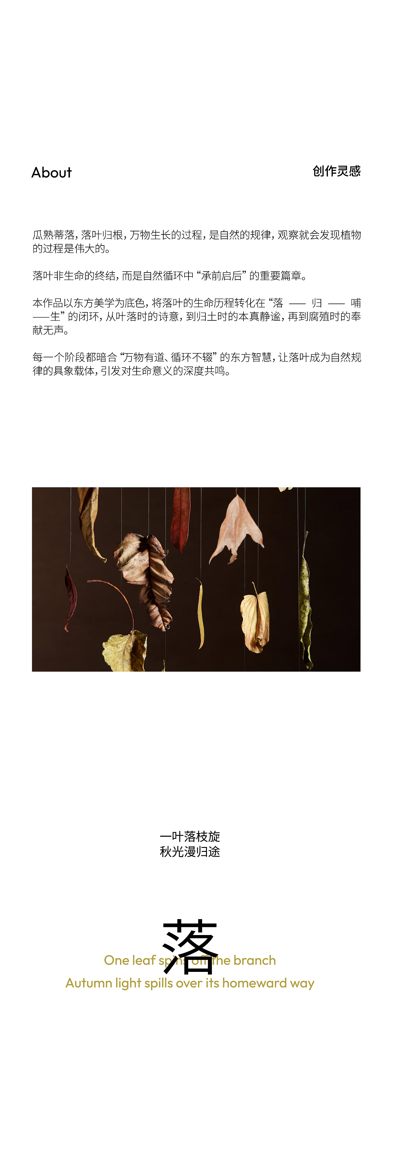 植物伟大的过程 The great process of plants（图ZMzk3OTYwNzE2） - 其他摄影 - 站酷设计师当下视觉摄影原创素材 - 站酷ZCOOL