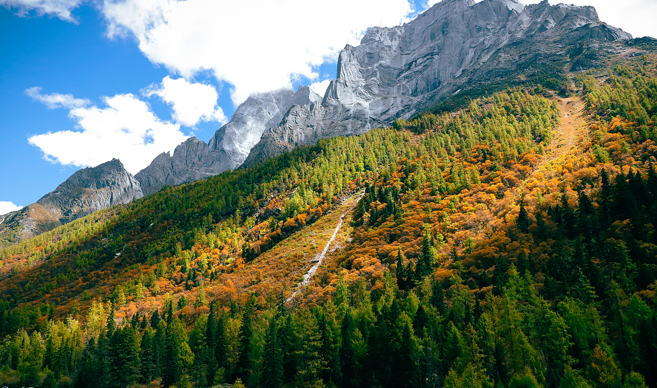 每一帧都是热爱