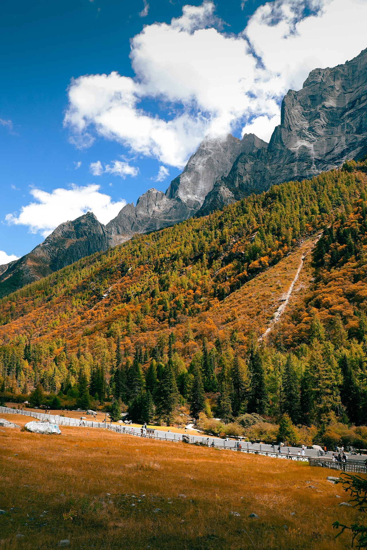 每一帧都是热爱