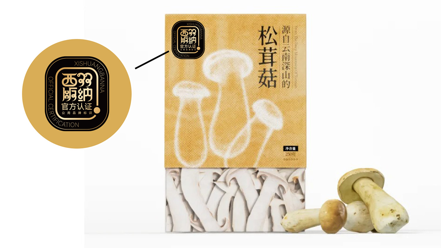 汉字为骨，傣文为魂：西双版纳区域公共品牌标识问世！#雨田侃设计 #城市品牌设计（图ZMTUyNTUwNzY=） - 教程 - 站酷设计师雨田侃设计原创素材 - 站酷ZCOOL