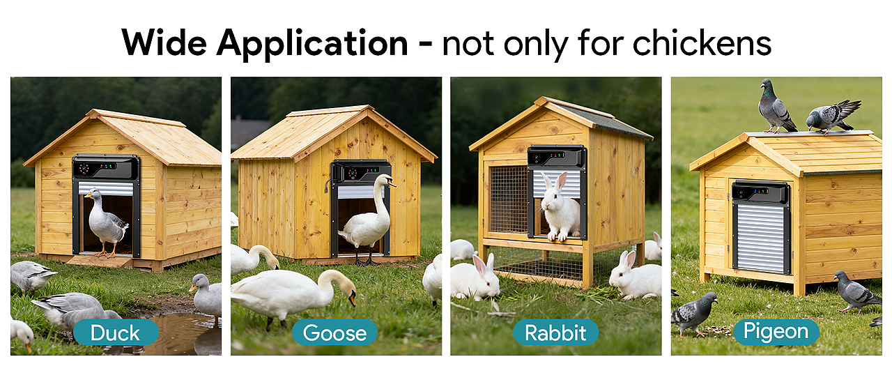 鸡舍门带摄像头,app