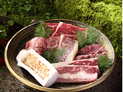 鳗葵人烤肉-山野风