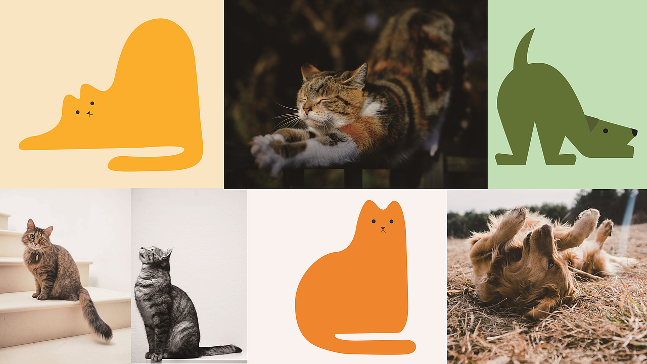 爱倍 宠物粮烘焙系列包装设计（图ZMzk4MDE1OTEy） - 品牌 - 站酷设计师CoreX可瑞可思原创素材 - 站酷ZCOOL