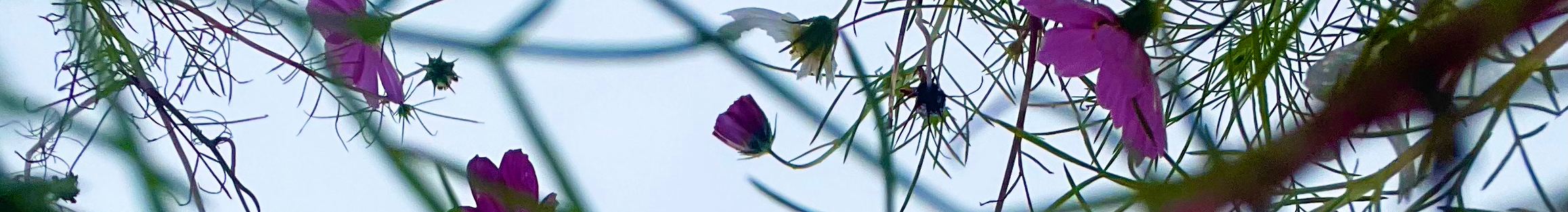 MYMY00的个人主页（封面预览） - 主页封面设置 - 站酷设计师MYMY00原创素材 - 站酷ZCOOL