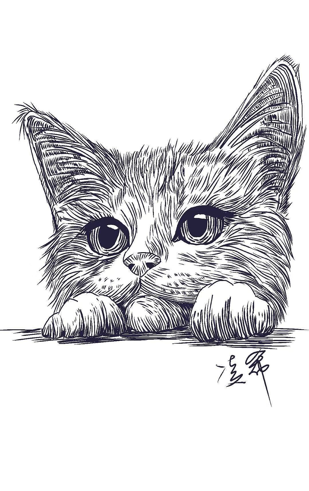 谁能拒绝这只软乎乎的趴趴猫（图ZMzk4MDI3NjAw） - 艺术插画 - 站酷设计师江宸一原创素材 - 站酷ZCOOL