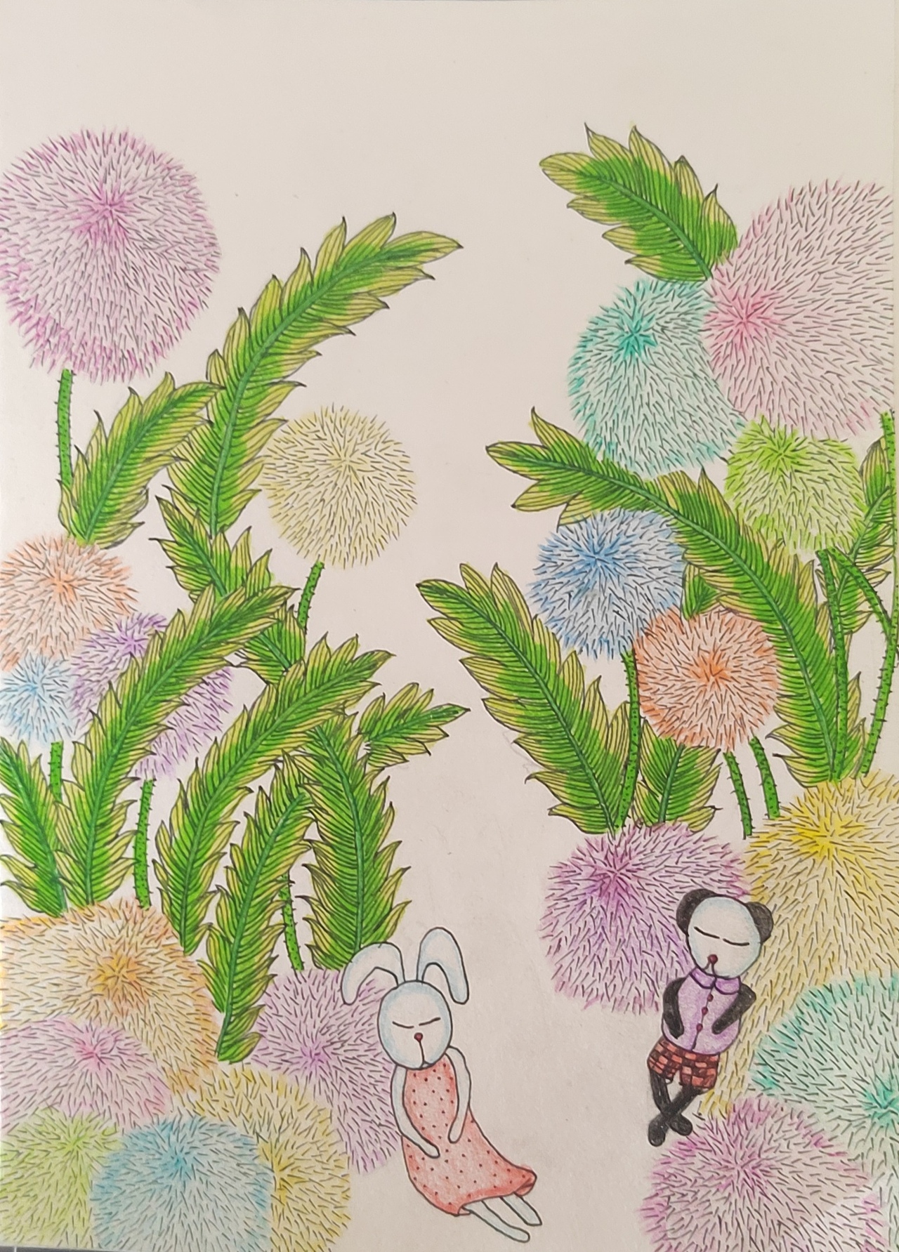 五彩缤纷的世界