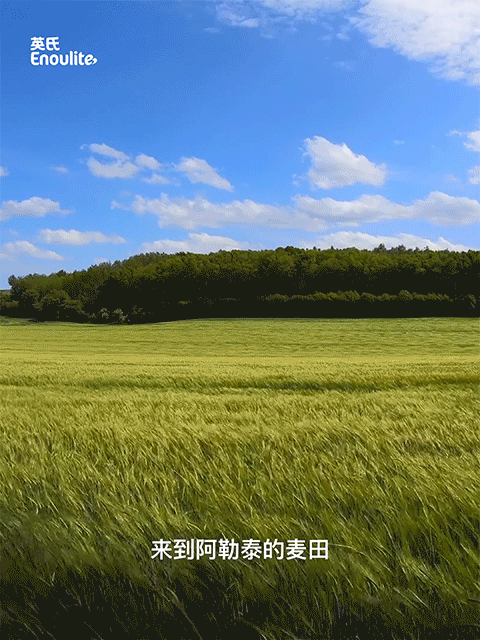 英氏《源自阿勒泰的有机面》新品上市短片