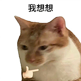 胡桃水獭的头像