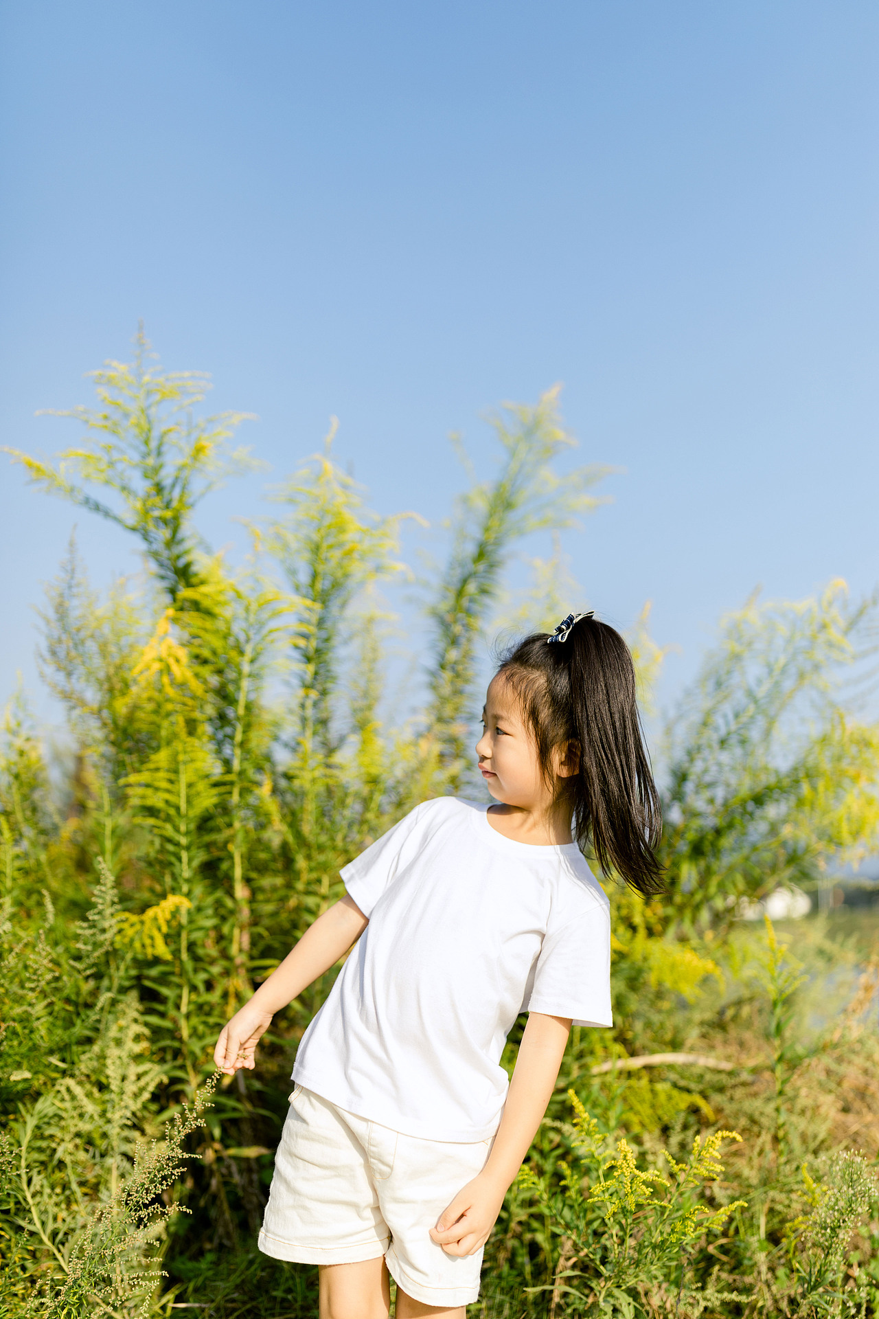放养的大爷