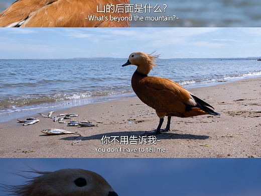 豆包AI