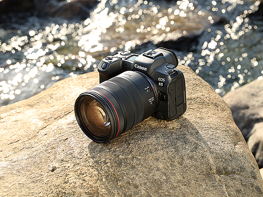 [佳能 EOS R5] 室外实拍图