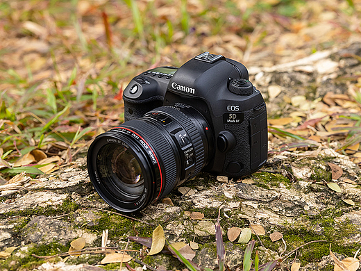 [佳能 EOS 5D4] 室外实拍图