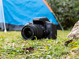 [佳能 EOS 750D] 室外实拍图