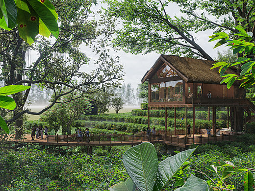 🌿【榕树云端，咖香观景台】新地标🌿