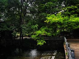 束河古镇一隅