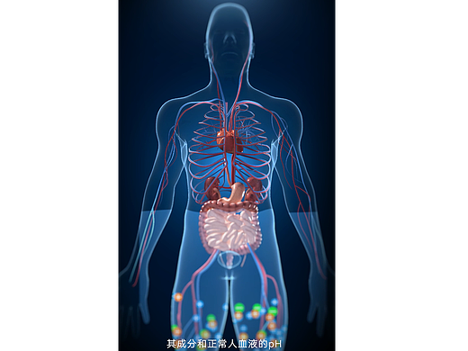 生物医药-血液滤过置换液