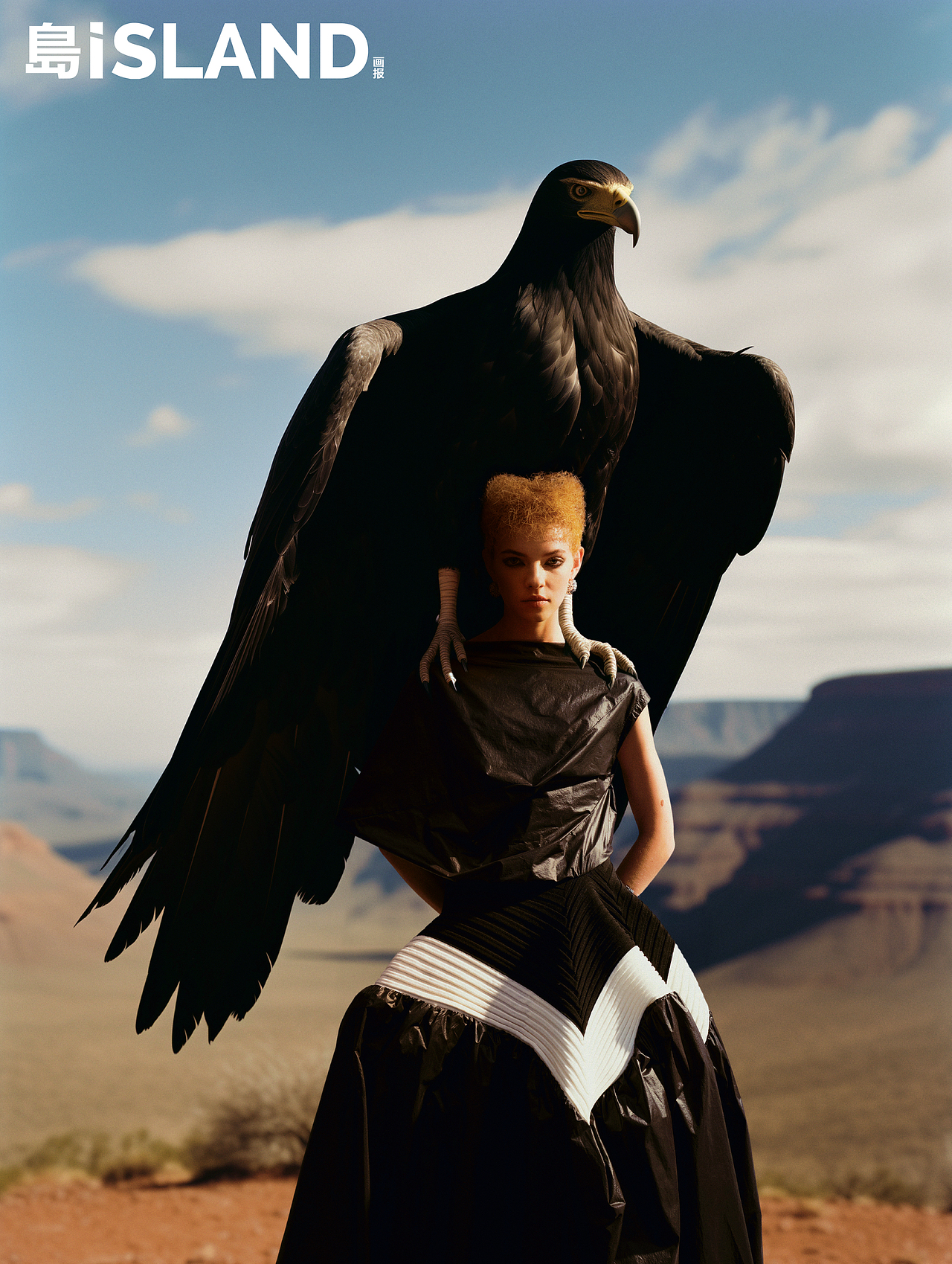 岛iSLAND画报 非洲动物 AI合成主题片（图ZMzk4MTQyNjA4） - 人像摄影 - 站酷设计师齐野035原创素材 - 站酷ZCOOL