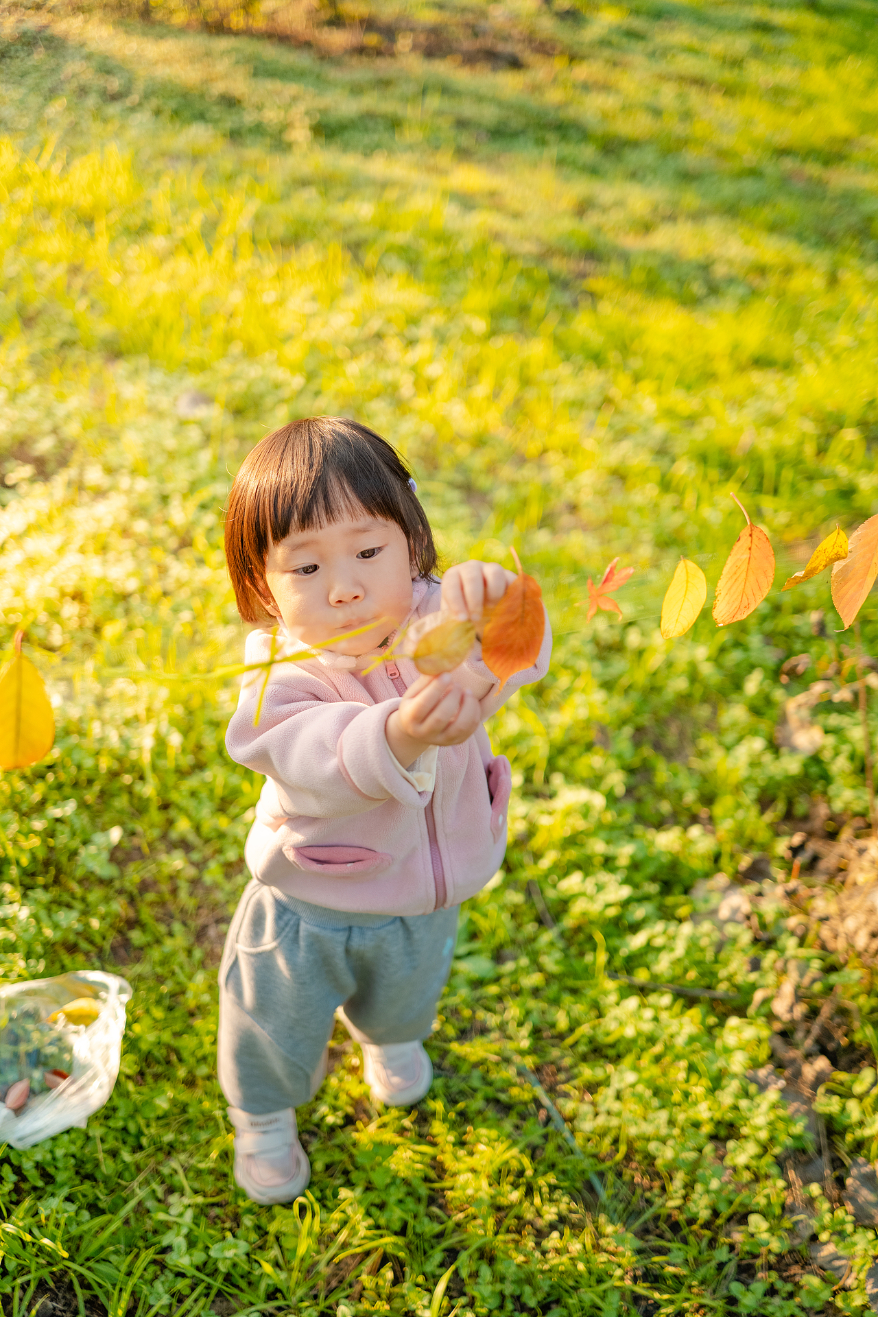 秋日午后 阳光与美好
