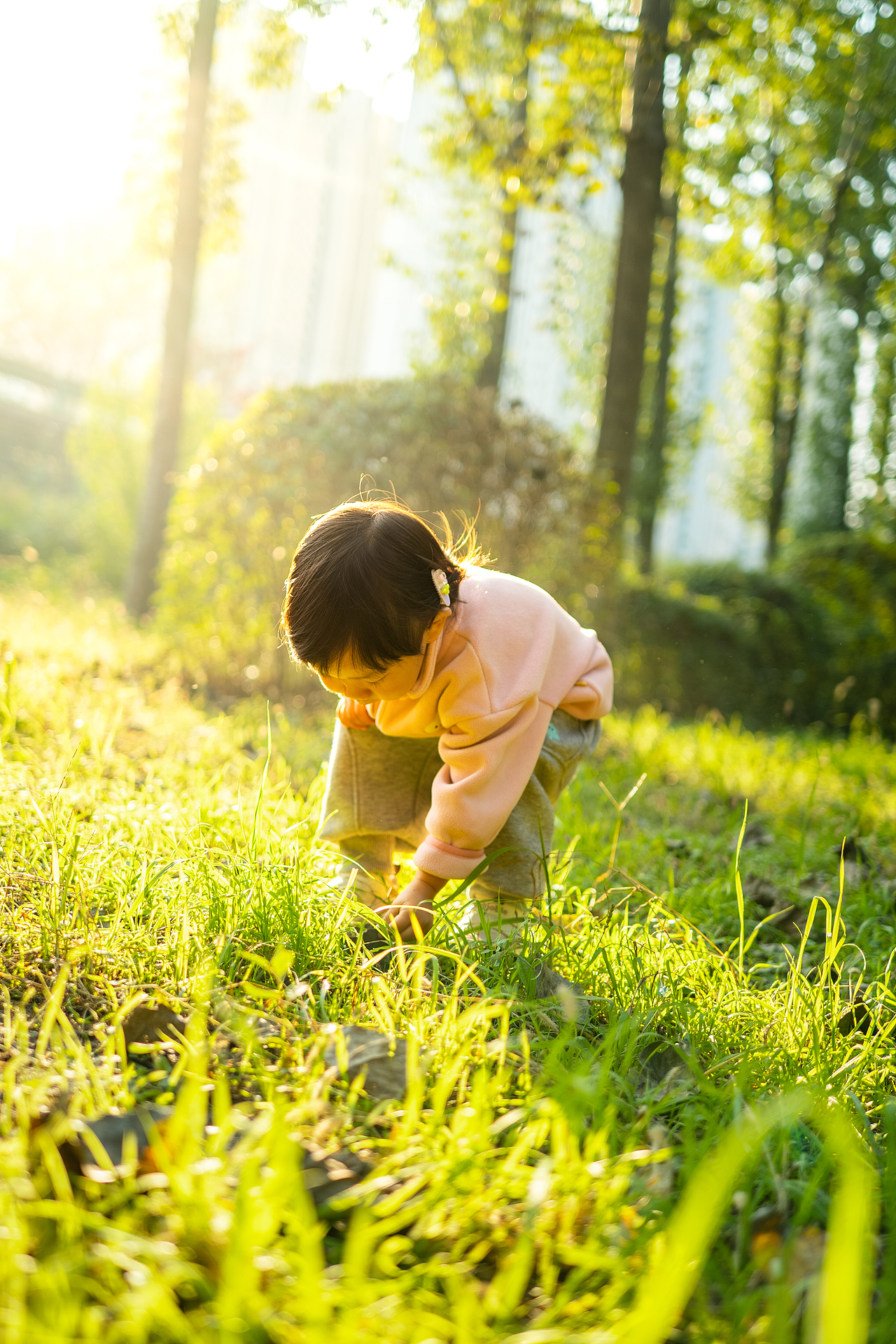 秋日午后 阳光与美好