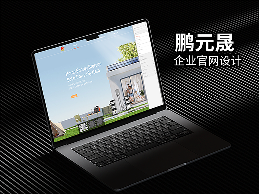 鹏元晟官网设计