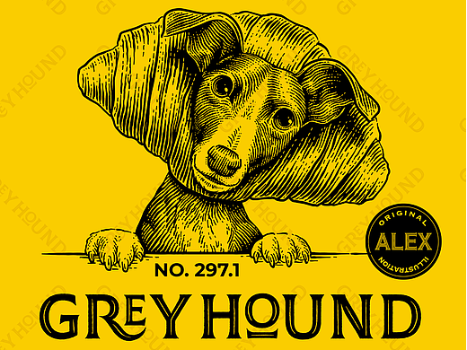 Greyhound 烘焙店品牌插画